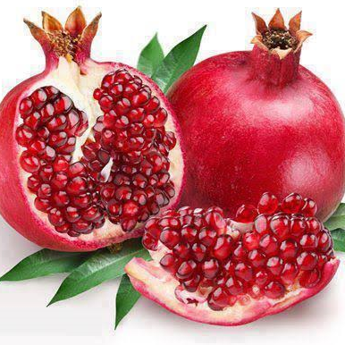 Pomegranet